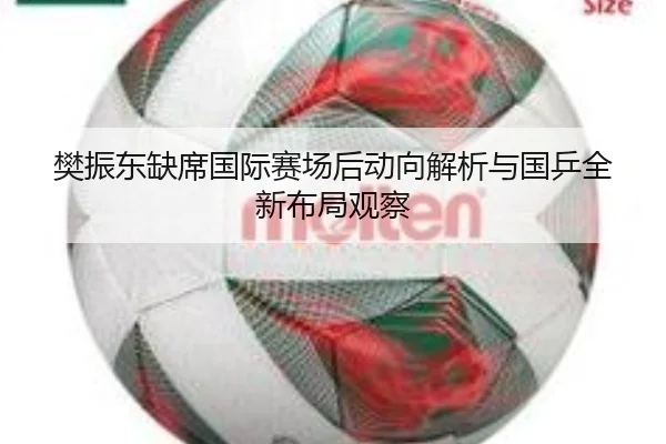 樊振东缺席国际赛场后动向解析与国乒全新布局观察